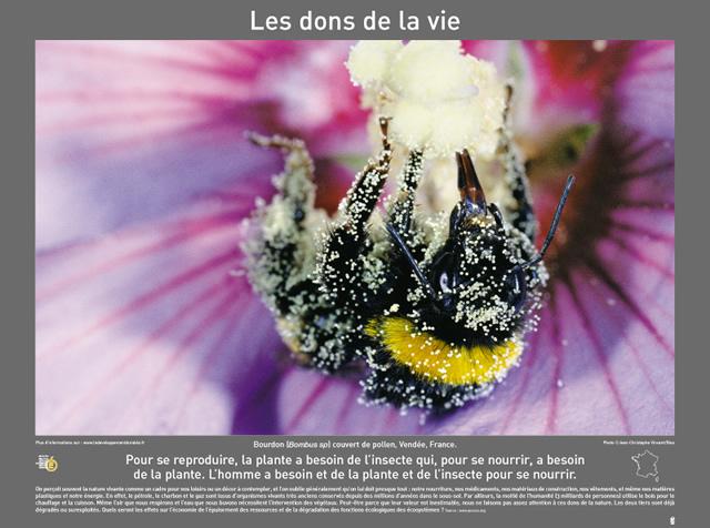 P2007 13LesDonsDeLaVie 